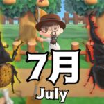 【あつ森】7月の虫と魚すべて捕まえてみた。 Bugs to Get and Fish to Get in July.【Animal Crossing: New Horizons】[Eng Sub]