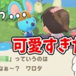 【あつ森】新しいニックネームが決定！！可愛すぎた…！【あつまれどうぶつの森/Animal Crossing】【実況/シュガートース島/くるみ/しゃちく/しゃちくるみ】