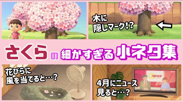 【あつ森】春がきた！桜 (さくら) の木に隠れた細かすぎる小ネタ集！【あつまれ どうぶつの森】〈レウン GAME TV〉