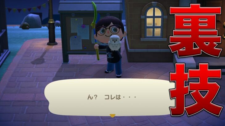 掲示板のフクロウを捕まえる方法【あつ森/バグ検証】