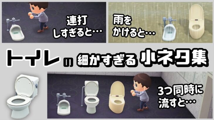 【あつ森】意外と知らない「トイレ」に隠れた細かすぎる小ネタ集！【あつまれ どうぶつの森】@レウンGameTV