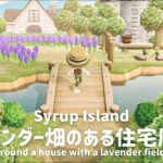 【あつ森】ラベンダー畑のある住宅周り┊Around a house with a lavender field.【島クリエイト】