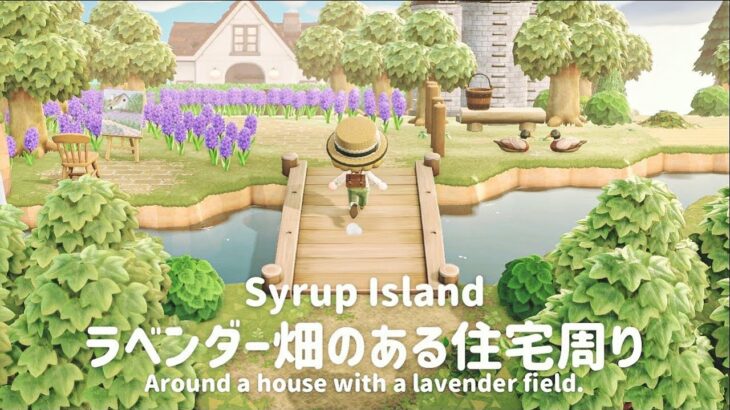 【あつ森】ラベンダー畑のある住宅周り┊Around a house with a lavender field.【島クリエイト】