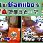 「あつ森」の新amiiboを「とび森」で読み込むとどうなるのか…？amiiboの細かすぎる小ネタ検証！【あつまれ どうぶつの森】@レウンGameTV