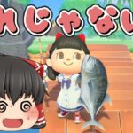 【終われません】あつ森！目指せサカナ図鑑コンプリート、意外なサカナ釣れなくてさあ大変！【ゆっくり実況】
