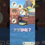 初めて釣った魚の名前が思い出せない(？)【あつ森】