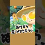 ムシ図鑑コンプリートの瞬間！最後の1匹はまさかのこれでした【あつ森】