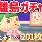 【あつ森 配信】深夜に離島ガチャ201枚目～！今日こそは、、！【あつまれどうぶつの森】