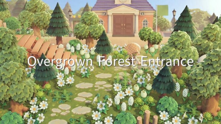 【あつ森】緑生い茂る自然島 エントランスから案内所 |  | Animal Crossing New Horizons