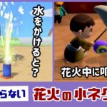 【あつ森】花火に水をかけると…？花火中の住民を叩くと…？意外と知らない「花火」に隠れた細かすぎる小ネタ集！【あつまれ どうぶつの森】@レウンGameTV