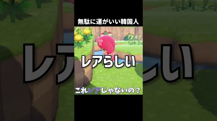 無駄に運がいい韓国人　 #あつ森 #あつまれどうぶつの森 #あつもり