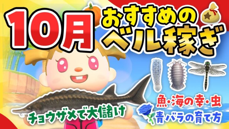 【あつ森】10月のおすすめのお金稼ぎ！チョウザメや青バラでベル稼ぎ