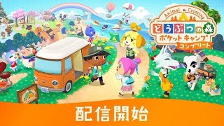 家事しながら釣り大会ポケ森夜ルーティンやるぞ！#11(どうぶつの森ポケットキャンプ コンプリート)