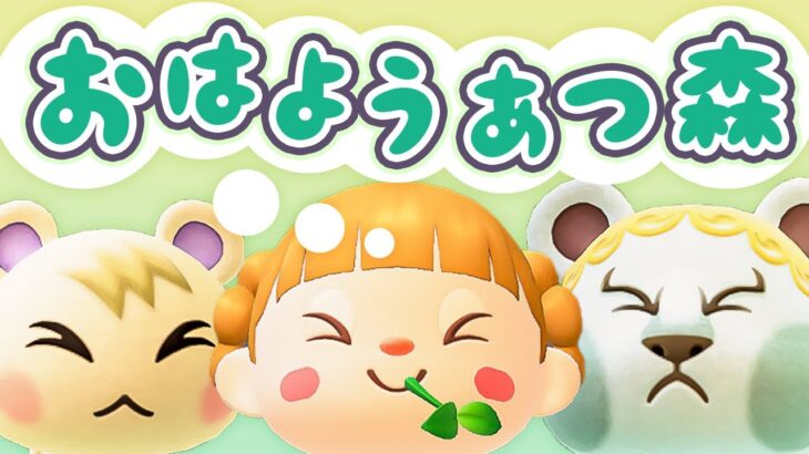 つもった！朝活🐓おはようあつ森！12/17(火)