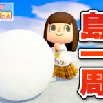 【あつ森】雪だま転がしながら島を一周します！！！ #69【あつまれどうぶつの森】