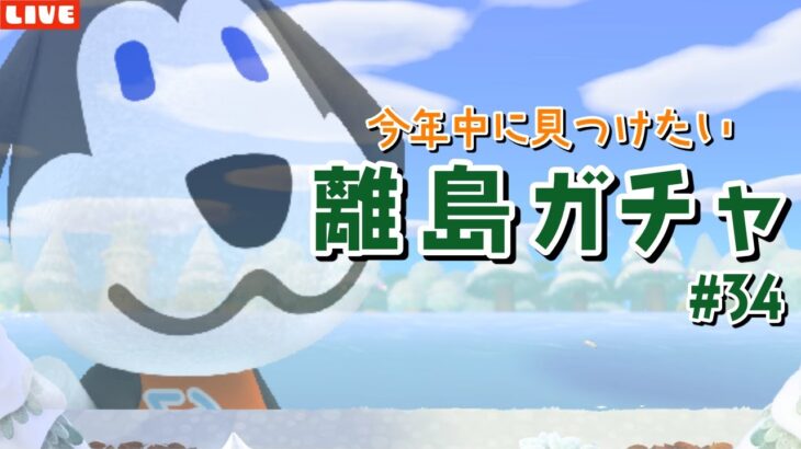 【あつ森】激レア住民ベンを今年中に見つけたい！離島ガチャLIVE配信！【あつまれ どうぶつの森】