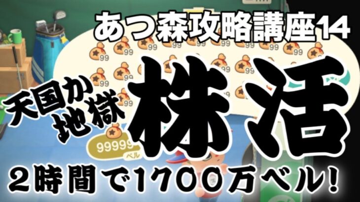 【あつ森攻略講座14】株活で儲ける！カブ開放に行ってみよう！カブとカブ開放のやり方を一から解説！これを観ればあなたも一度でがっぽり儲かります【あつ森どうぶつの森】