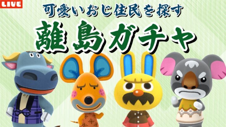 【あつ森】可愛いおじを求めて！和風島の住民を探す離島ガチャ配信！【あつまれ どうぶつの森】