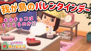 【あつ森】みんなはバレンタインどう過ごしたんだい？ #72【あつまれどうぶつの森】