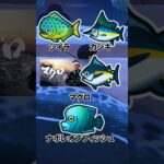他の魚を釣らないと出てこない魚たち@ほのげ
