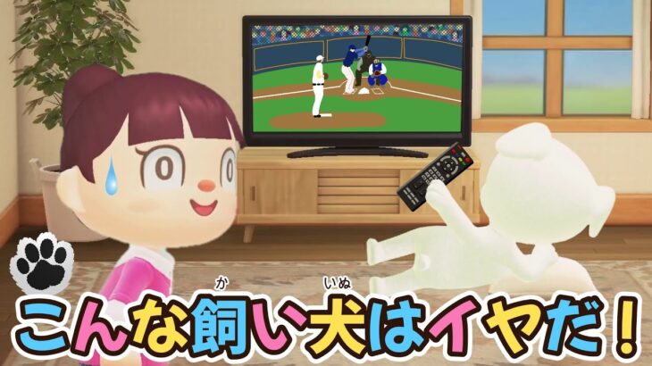 【あつ森アニメ】見た目は犬、中身はおっさん!?こんな飼い犬はイヤだ！【あつまれどうぶつの森】