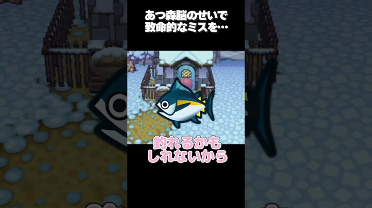 あつ森と街森の違いで起こってしまった事件【街へいこうよどうぶつの森】