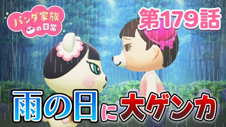 【あつ森アニメ】パンダ家族の日常 第179話「雨の日に大ゲンカ」
