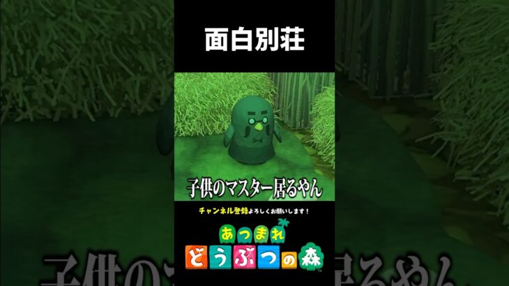 【あつ森】なんでもあり！？ユニークなアイデア満載のおもしろコンセプトの別荘3選