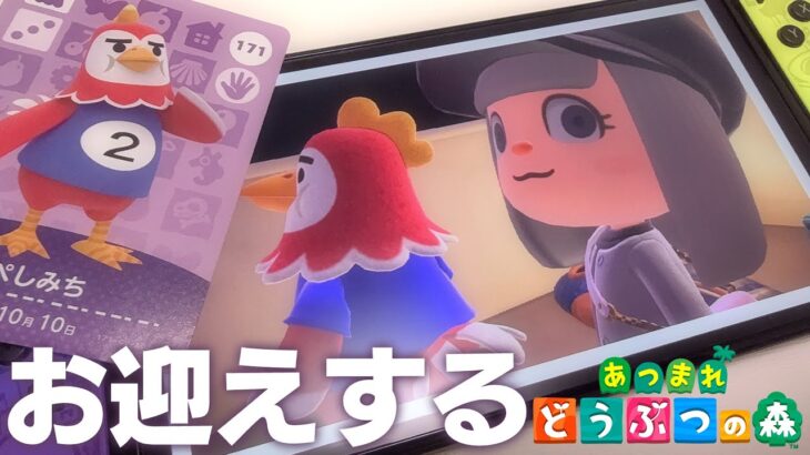 【あつ森】どうしても忘れられない住民を迎える！これがamiiboカードのちから…！【#とまライブ】