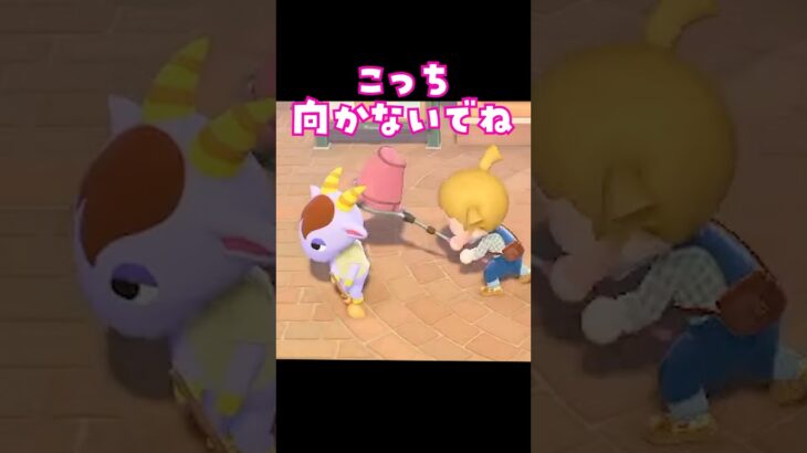 【あつ森】キザな男の大失態！#あつ森 #あつまれどうぶつの森