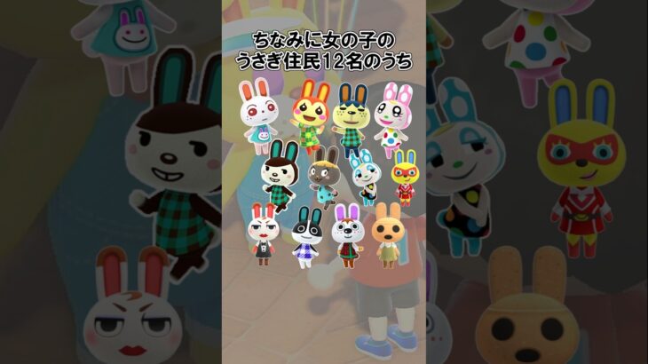 うさぎ住民全員知りたい！@ほのげ #あつ森