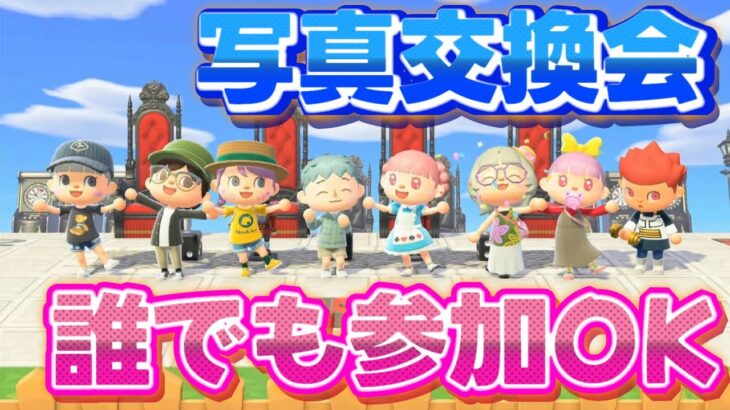 【あつ森】 住民写真交換会 ｜ チーム対抗ダイス勝負！豪華賞品！｜ライブ【あつまれどうぶつの森】【@シンタ】