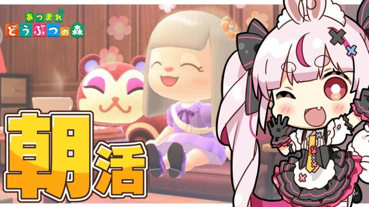 【あつ森】朝活～！とたけけライブがはじまるぞ！【#とまライブ】