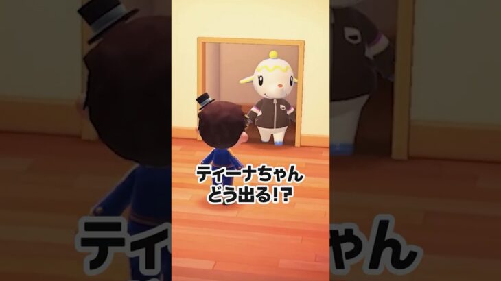 なにがなんでも褒めてくれるティーナさん【あつ森】