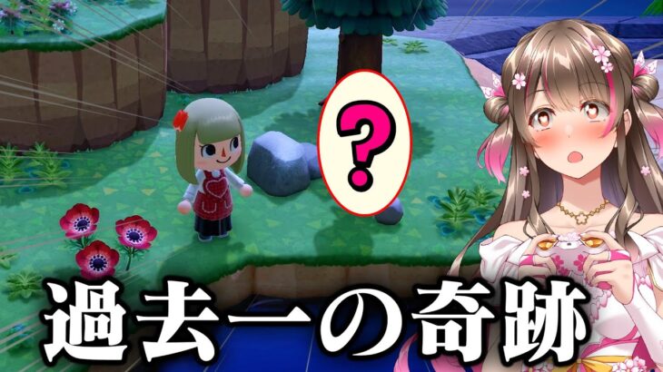 【あつ森】今までで１番の奇跡！離島ガチャで信じられない事が起こった日　【あつまれどうぶつの森 るいぼす島編 #4】