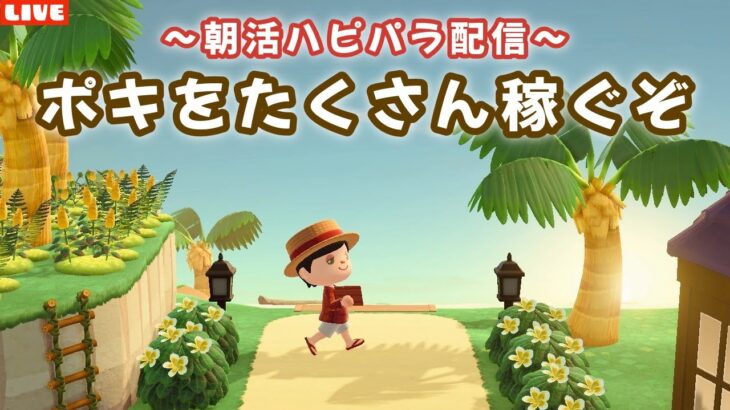 【あつ森】朝活ハピパラ！6×6縛りレイアウトでポキを稼ぐLIVE配信！【あつまれ どうぶつの森】