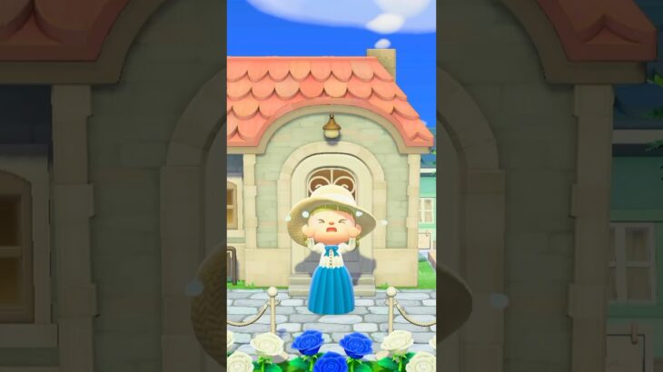 【あつ森ASMR】お引越し🥺／vlog／【環境音】【作業音】 #animalcrossingbgm #asmr #animalcrossing #あつ森