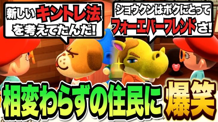 久々にあつ森で住民に挨拶したら皆相変わらずで爆笑するバトラ【あつまれ どうぶつの森】