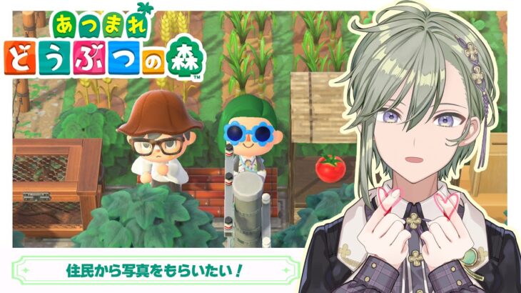 【あつまれどうぶつの森 /朝配信】switch2であつ森起動！住民から写真をもらいたい！！月曜日おはよう🍀【 男の子Vtuber 苗芽なる / 初見歓迎 】