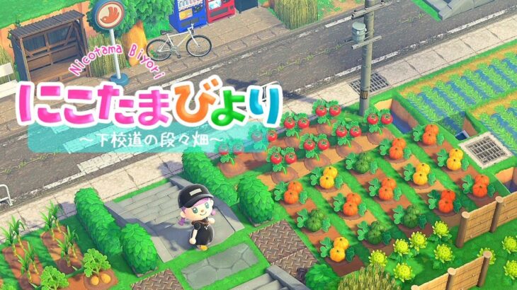 【あつ森】田舎町づくりも終盤！段々畑づくり【ゆっくり実況】【あつまれどうぶつの森】