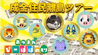 【 あつ森・⑤③⑨】  成金＆セレブ住民求めて離島ツアー⑨