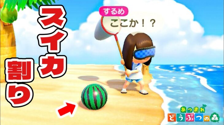 【あつ森】本当に目隠ししてガチスイカ割りをしよう！！！【あつまれどうぶつの森】