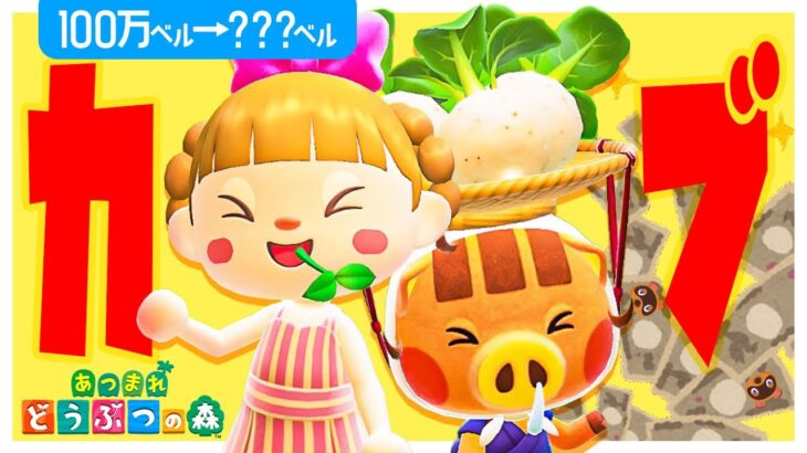 【神回】100万ベルを”カブ”にかける🌱🌱🌱※通信なし縛り【あつ森 | お金稼ぎ】
