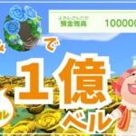 【あつ森】１億ベル貯めるお金稼ぎ！１日100万ベル稼ぎ、カブなしでできる金策/金バラ・青バラのリース/【ACNH】How to earn 100,000,000 Bells.