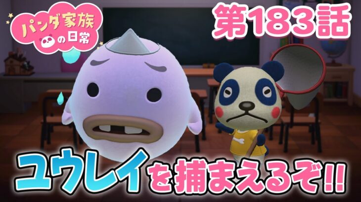【あつ森アニメ】パンダ家族の日常 第183話「ユウレイを捕まえるぞ!!」