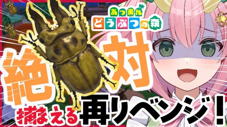 【あつ森】オウゴンオニクワガタ捕まえるッ！&金島・サソリ島も！！？3日目【三枝りん】