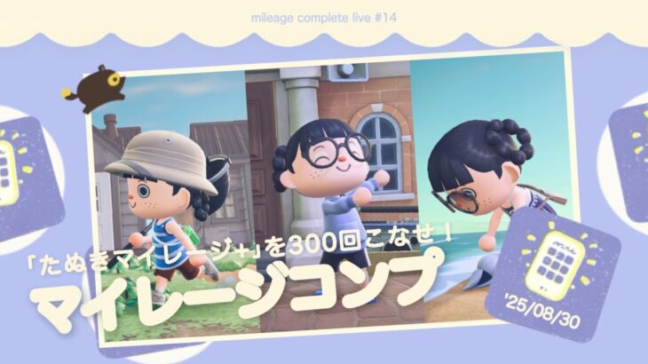 【あつ森】日替わりたぬきマイレージ 300回こなすまで終われません？！｜マイレージコンプ配信
