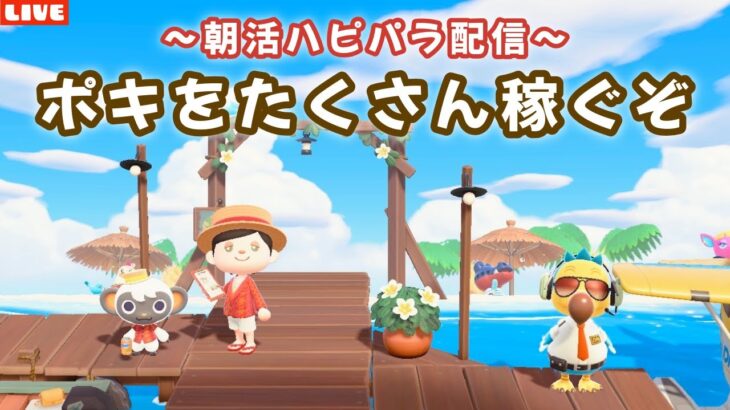 【あつ森】久しぶりの朝活ハピパラ！6×6縛りレイアウトでポキを稼ぐLIVE配信！【あつまれ どうぶつの森】