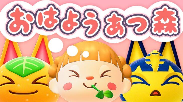 朝活🐓おはようあつ森！8/12(火)