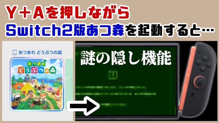 【あつ森】Y＋Aを押しながらSwitch2版あつ森を起動すると…謎の隠し機能が存在した…！？ あつ森の引越し機能に隠れた細かすぎる小ネタ集！【あつまれ どうぶつの森】@レウンGameTV
